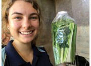 HALF CELERY IN BAG LEVIN Grown